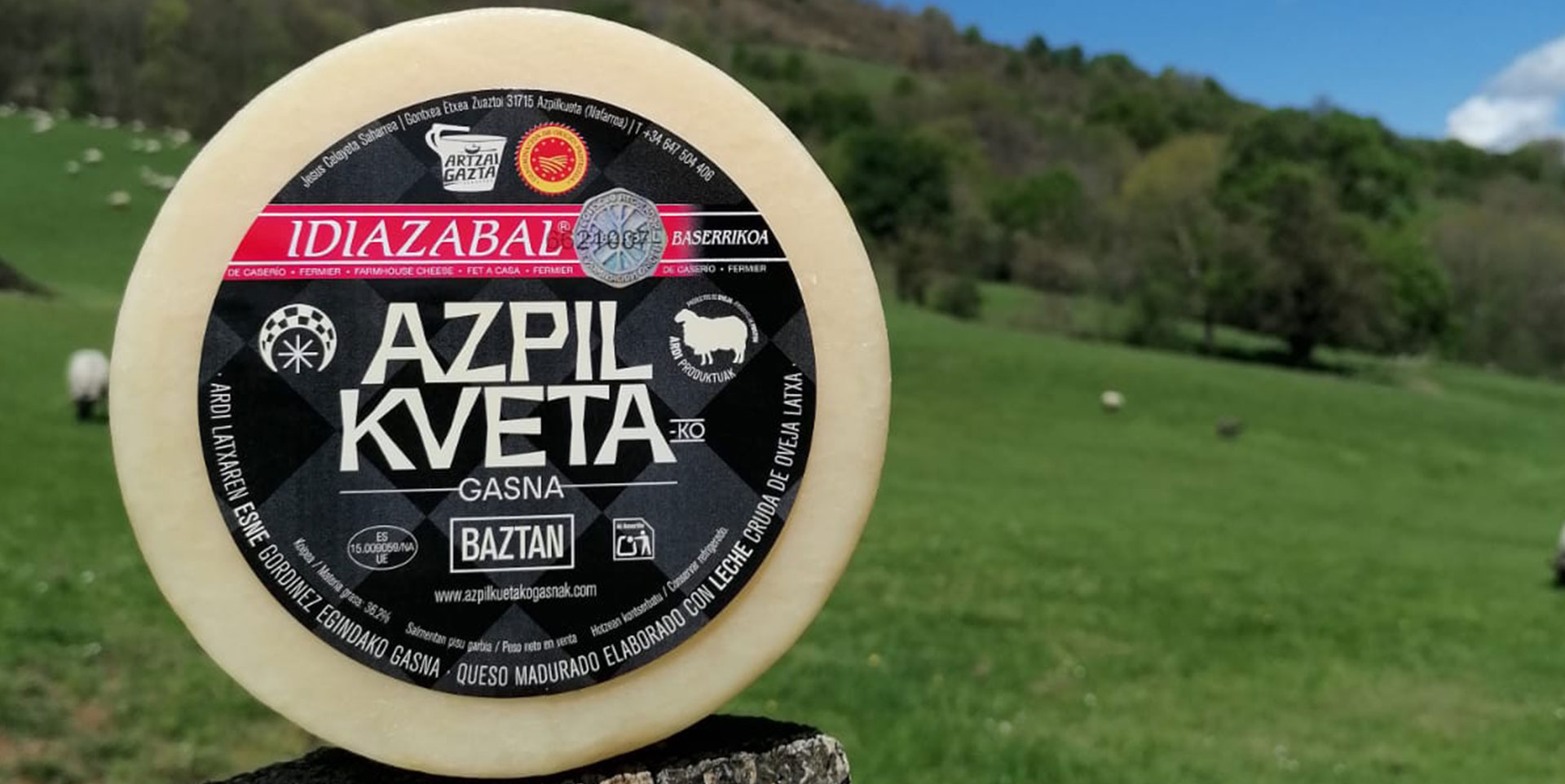 JESÚS CELAYETA SAHARREA_AZPILKUETAKO GASNA (Azpilkueta)